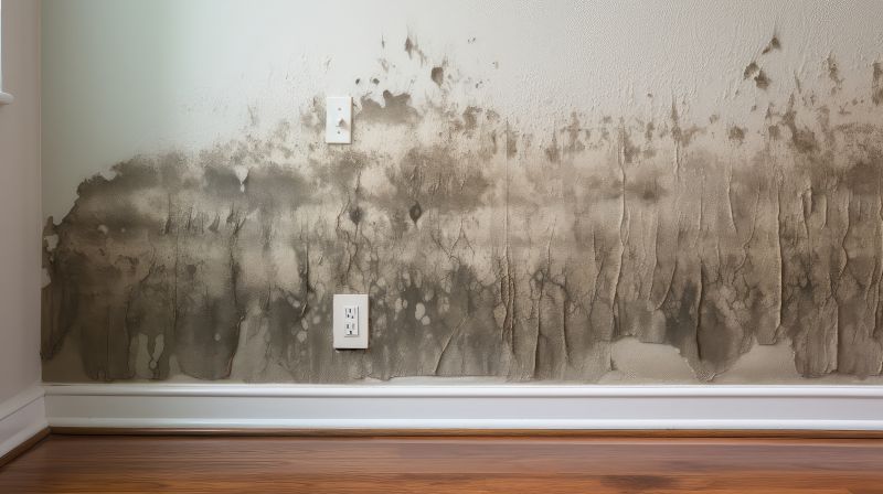 Water Damage Indicators